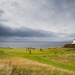 <h2>The 2023 British Isles Golf Cruise & The 151st Open</h2>12 Nights | 3-6 Rounds | Dublin - Edinburgh | July 20 – August 1 