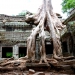 Ta Prohm temple in the Angkor complex