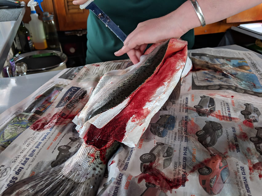 <h2>The Best of New Zealand Escorted 2018</h2>Taupo, Napier, Wellington & Queenstown