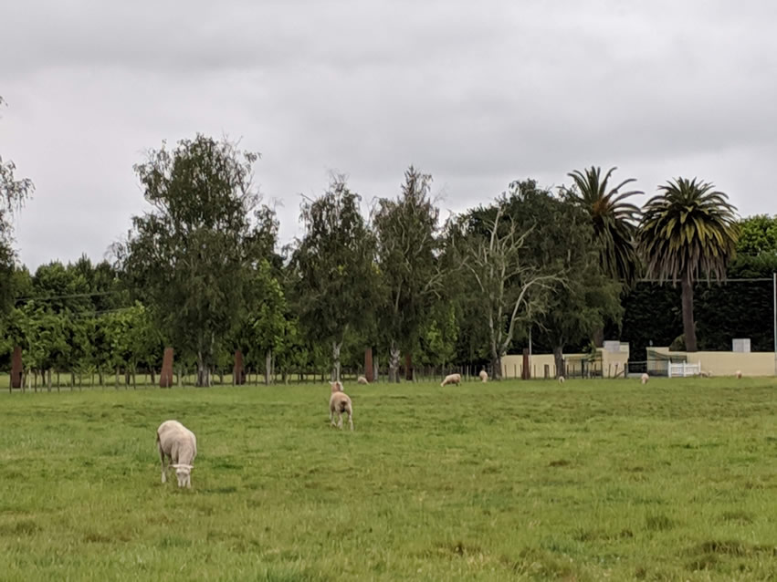 <h2>The Best of New Zealand Escorted 2018</h2>Taupo, Napier, Wellington & Queenstown